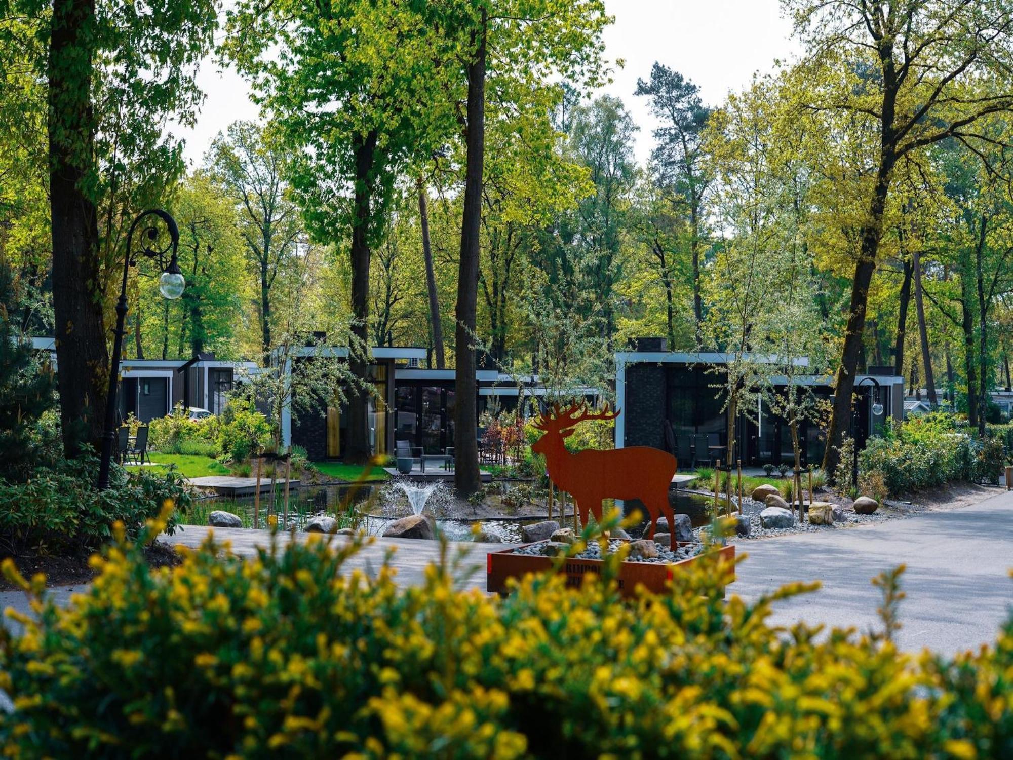 Modern House With Dishwasher In A Nature Reserve Hoenderloo Exteriör bild